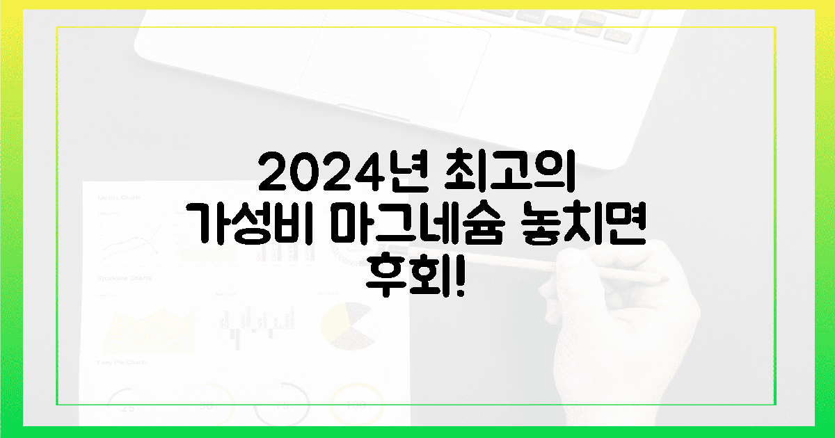 2024년, 놀라운 가성비 산화마그네슘 발견!
