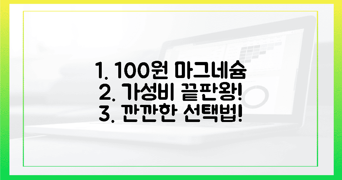 100원짜리 마그네슘? 가성비 끝판왕, 깐깐한 선택법!