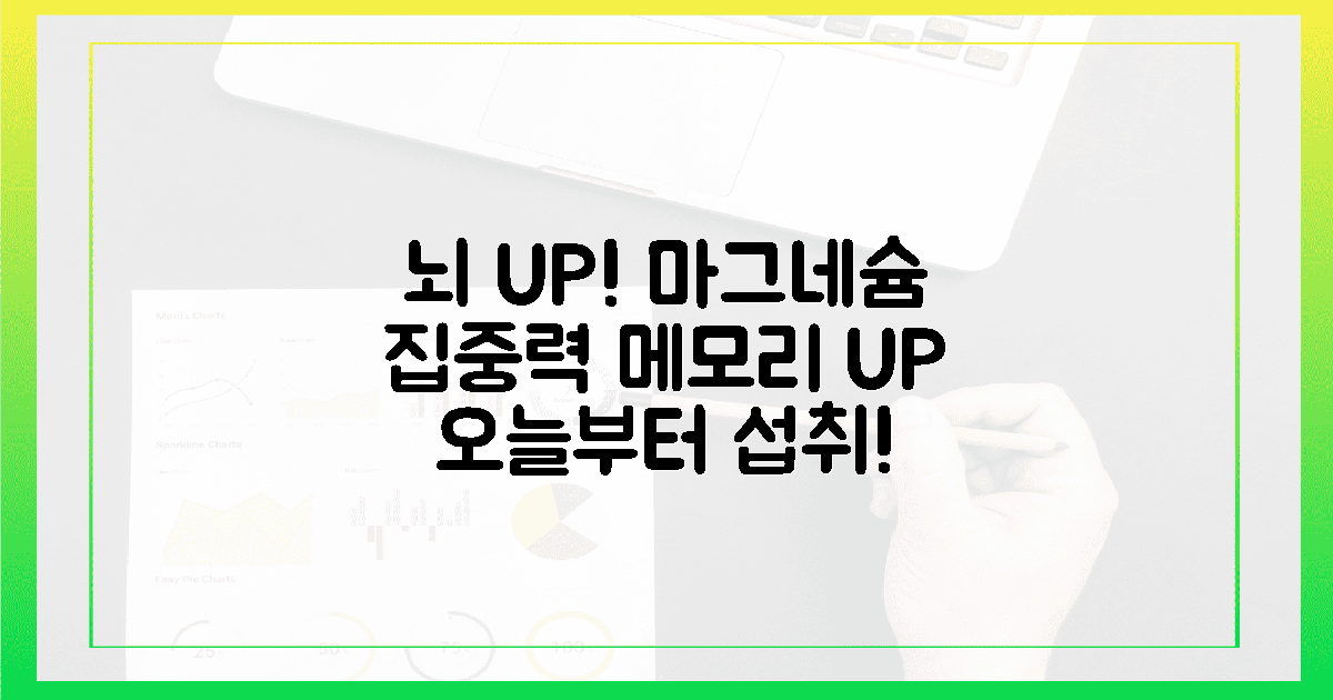 뇌 기능 UP! 집중력 높이는 마그네슘 섭취법