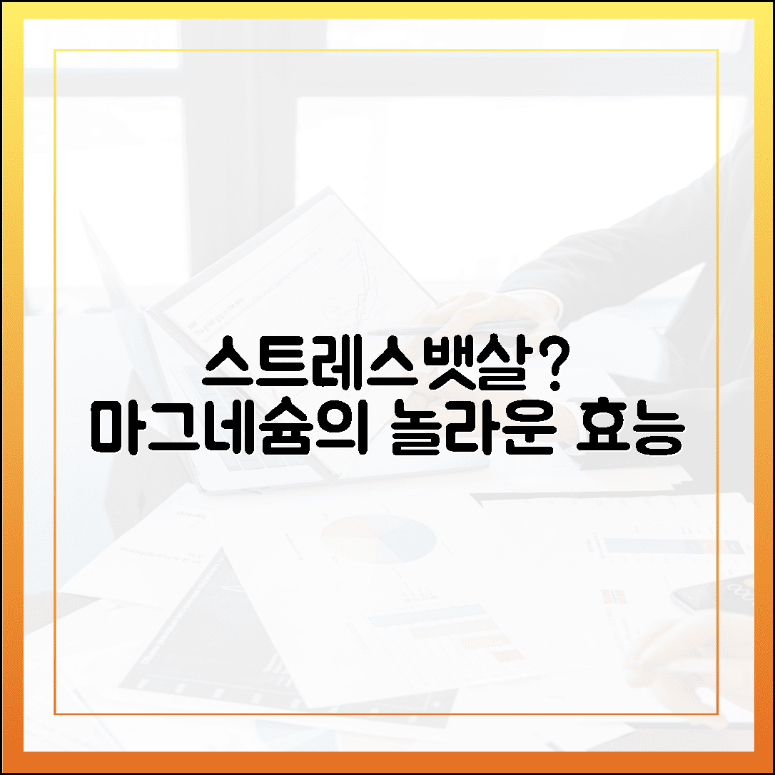스트레스 받으면 뱃살 찐다? 다이어트 정체기 뚫어주는 마그네슘의 숨겨진 효능