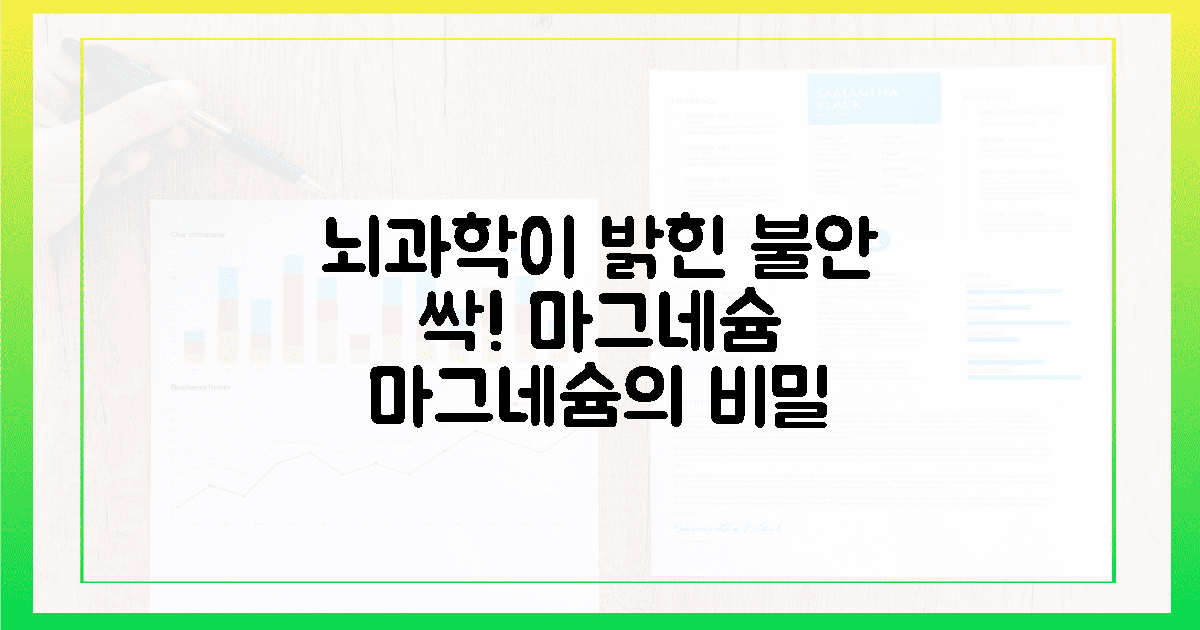 불안 걷히는 마그네슘, 뇌과학이 밝힌 비밀