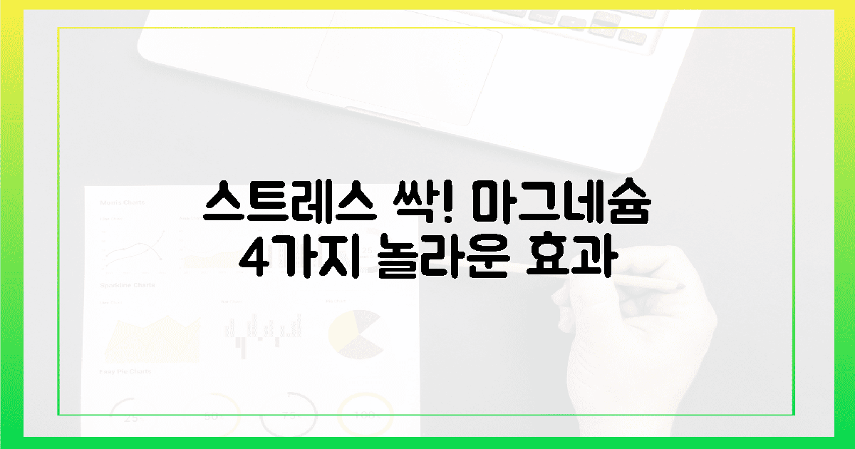 스트레스 싹! 4가지 마그네슘의 놀라운 힘