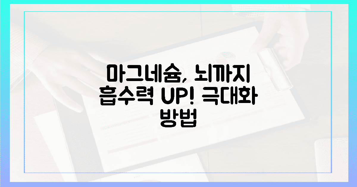 마그네슘, 뇌까지 흡수하는 법