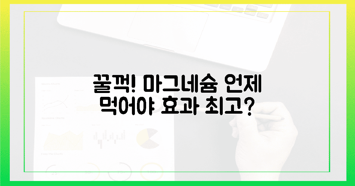마그네슘, 언제 먹어야 '꿀꺽'할까? 🤫