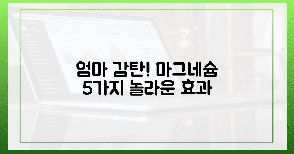 엄마도 반한 마그네슘, 5가지 놀라운 효과