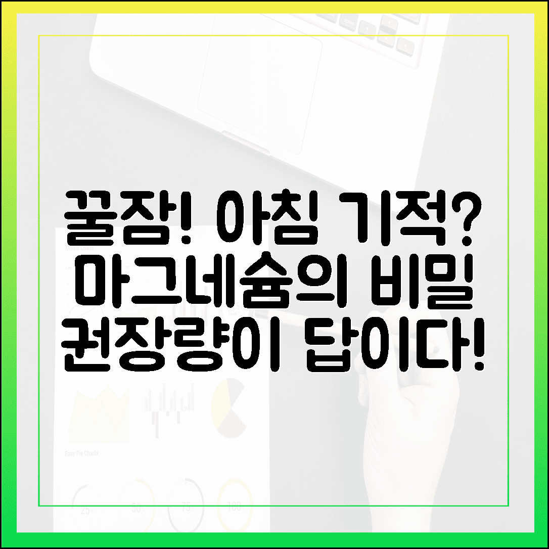 매일 아침이 달라지는 기적, 꿀잠 부르는 마그네슘 하루 권장량의 비밀