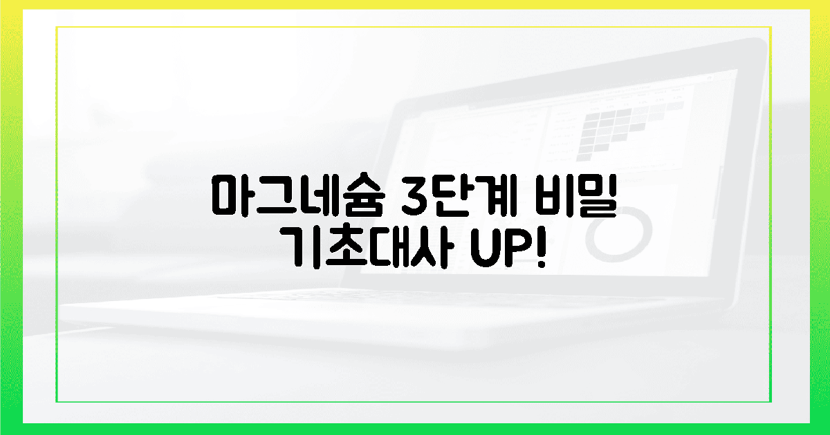 마그네슘 3단계 비밀! 기초 대사 UP!