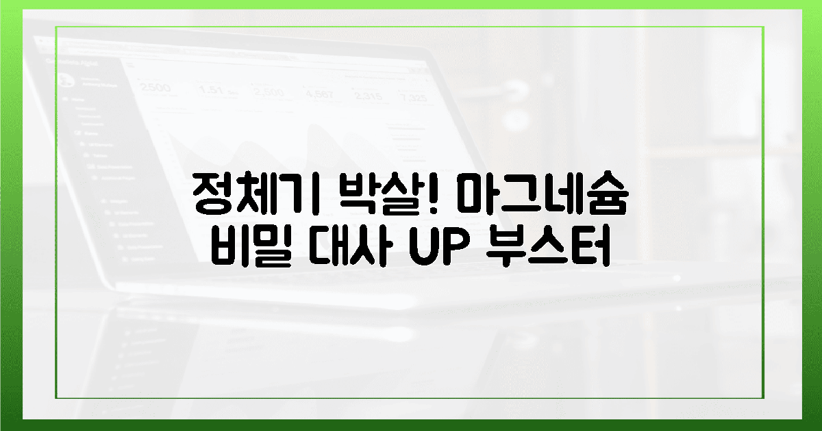 정체기 탈출! 마그네슘, 대사 부스터 비밀