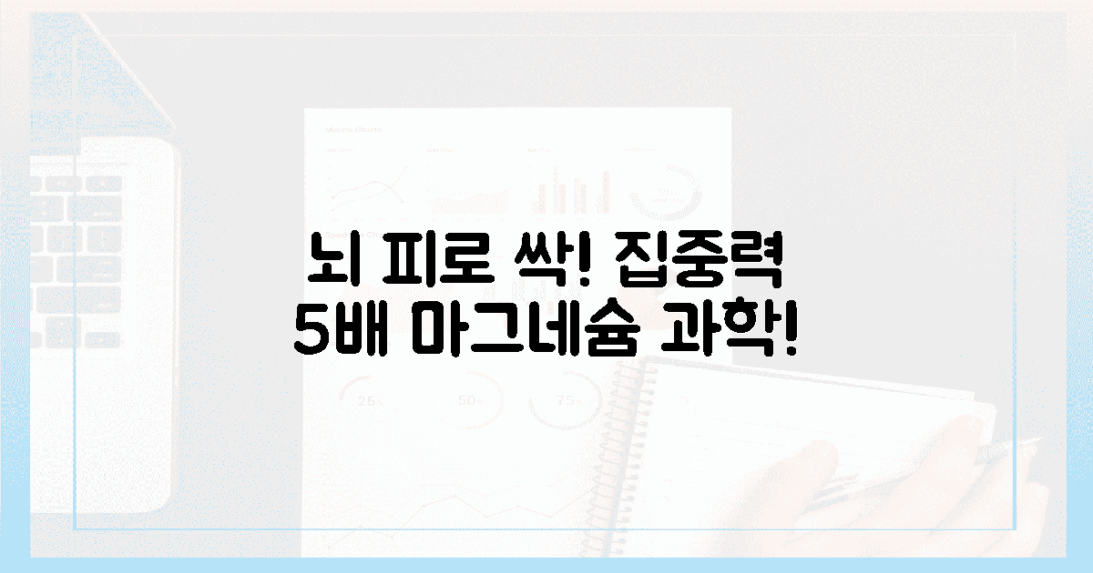뇌 피로 싹! 집중력 5배 폭발, 마그네슘의 과학!