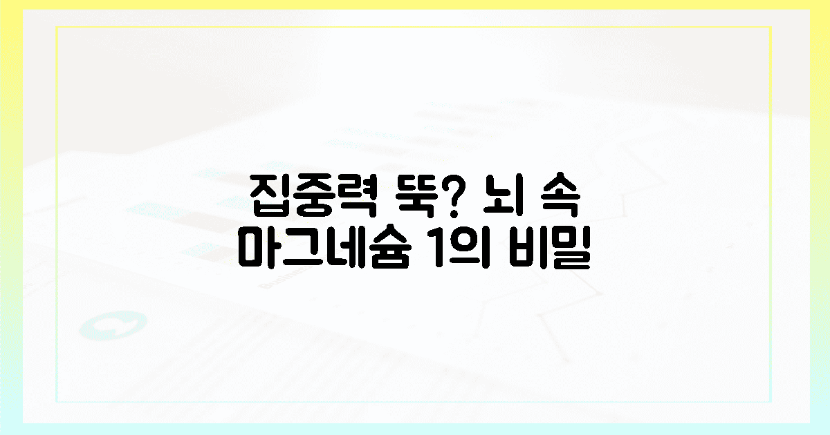 집중력 싹둑? 뇌 속 마그네슘 1%의 놀라운 비밀!