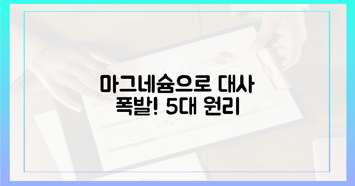 신진대사 폭발! 마그네슘 5대 원리