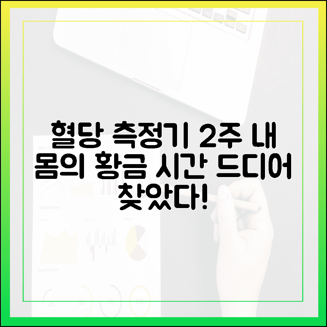 2주간의 연속 혈당 측정기 착용기, 내 몸이 가벼워지는 골든타임을 찾았다