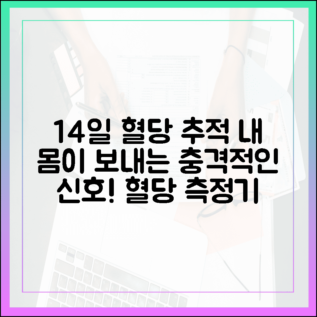 연속 혈당 측정기 14일 착용 후기, 내 몸이 보내는 신호를 눈으로 확인한 짜릿한 순간들