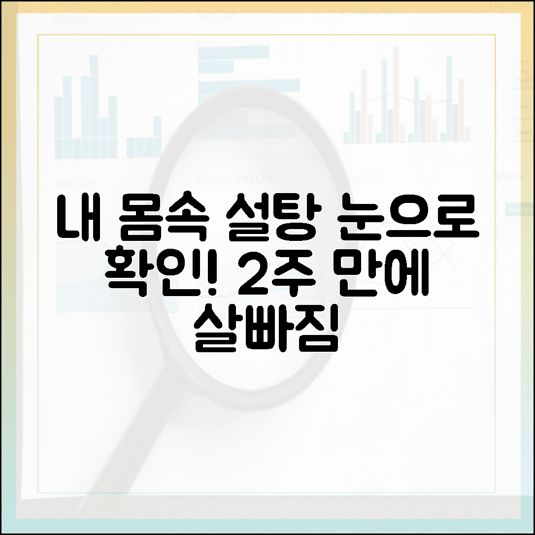 연속 혈당 측정기 2주 착용 리얼 후기, 내 몸속 설탕 흐름이 눈에 보이니 살이 빠지네요