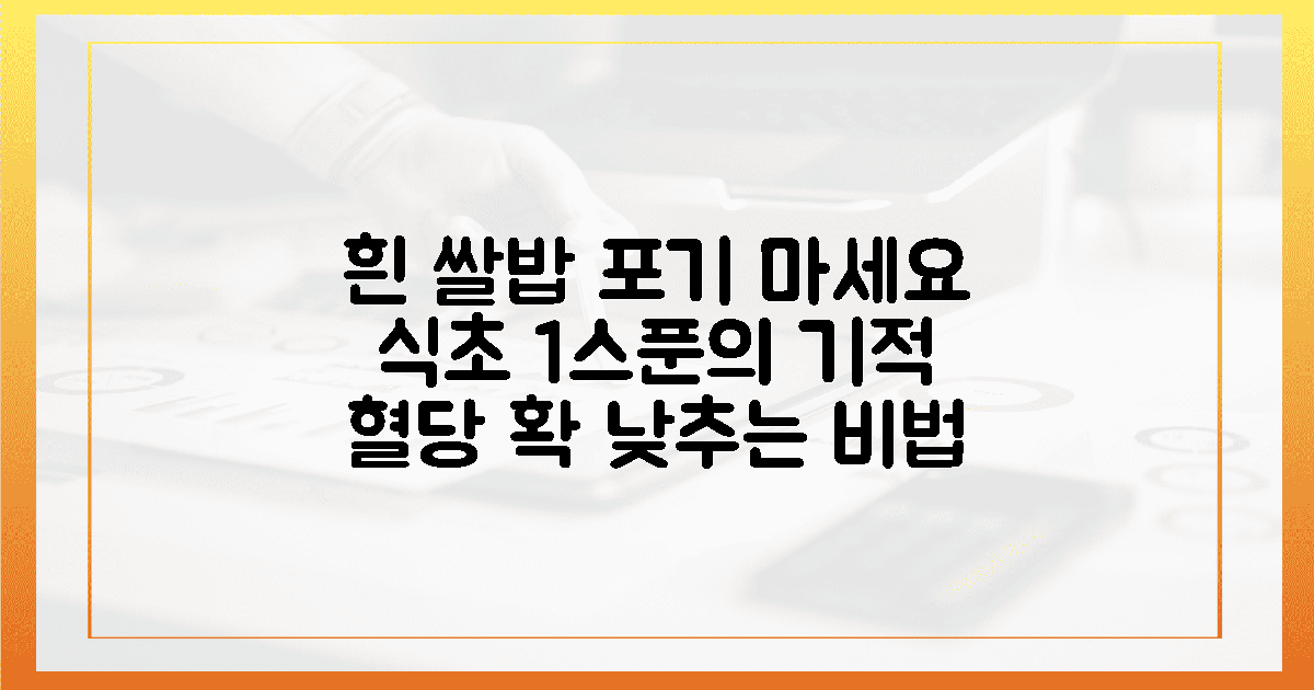 흰 쌀밥 포기 못해? 식초 1스푼으로 식후 혈당 착하게 만드는 마법 같은 변화의 활용 방법
