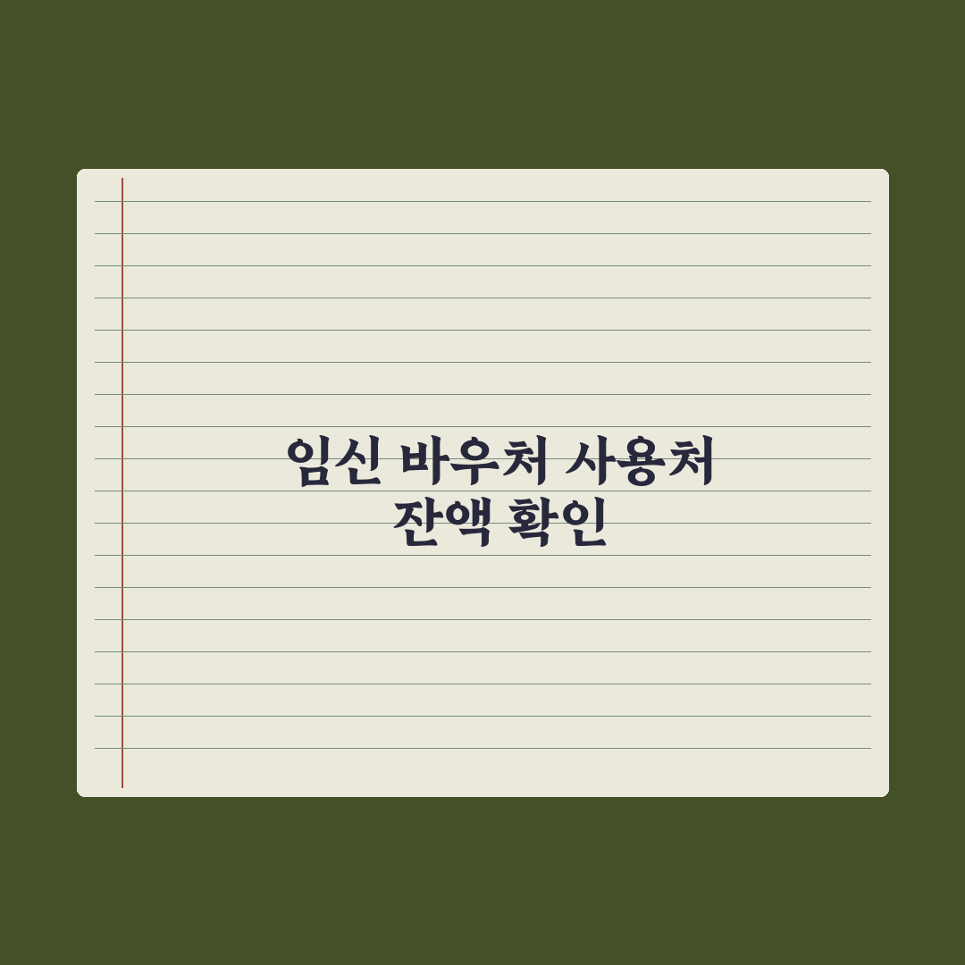 임신 바우처 사용처와 잔액 확인법 총정리, 전문가가 분석한 3분 핵심정리