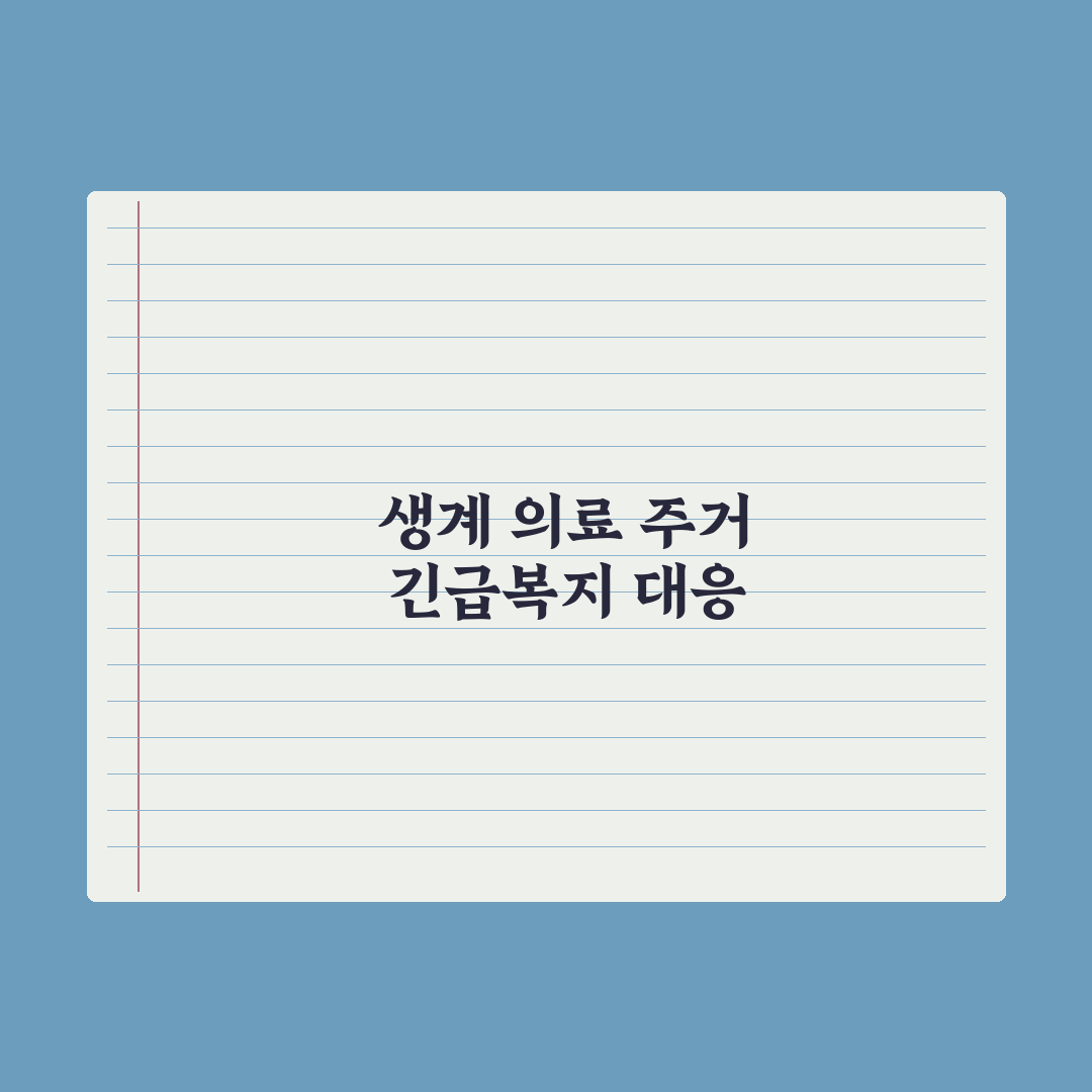 긴급복지지원 종류 - 생계·의료·주거 심층분석: 실무자 검증 5대 기준