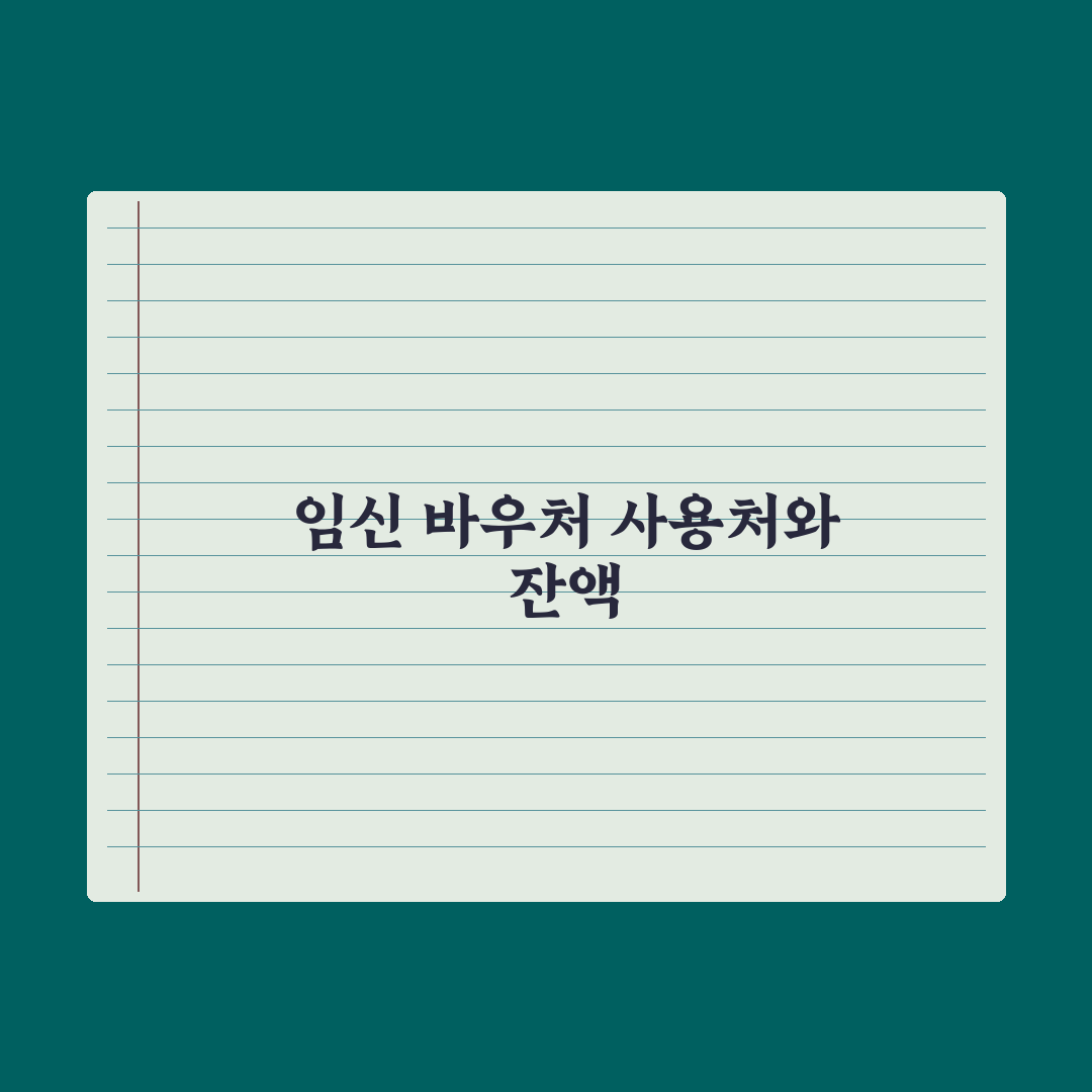 임신 바우처 사용처와 잔액 확인법 총정리, 전문가가 분석한 3분 핵심정리