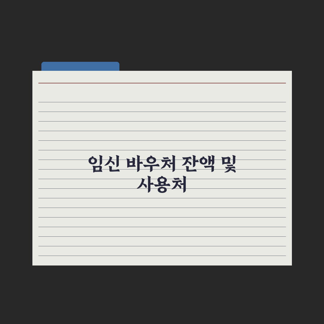 임신 바우처 사용처와 잔액 확인법 총정리, 전문가가 분석한 3분 핵심정리