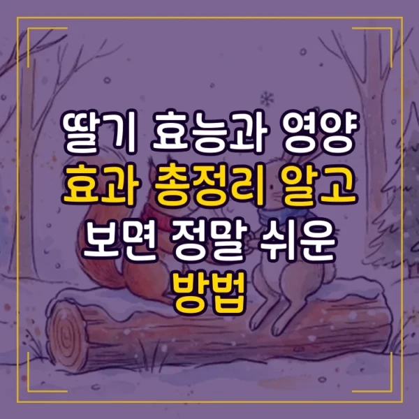 딸기 효능과 영양 효과 총정리 알고 보면 정말 쉬운 방법
