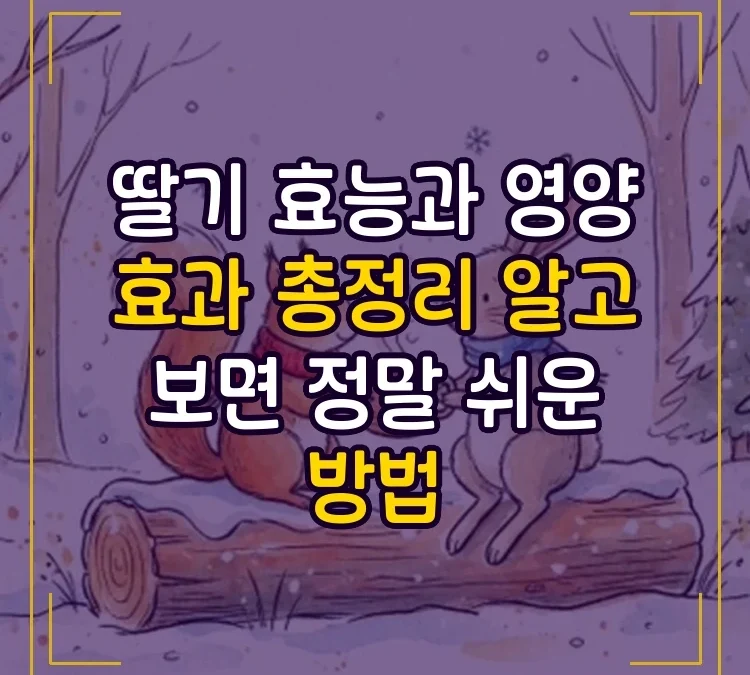 딸기 효능과 영양 효과 총정리 알고 보면 정말 쉬운 방법